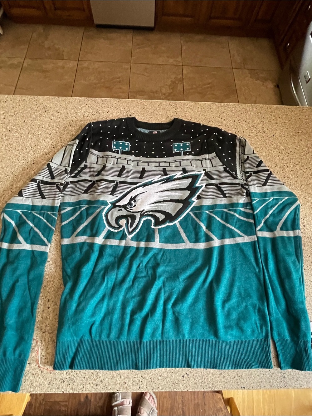 Philadelphia Eagles light up Christmas Sweater